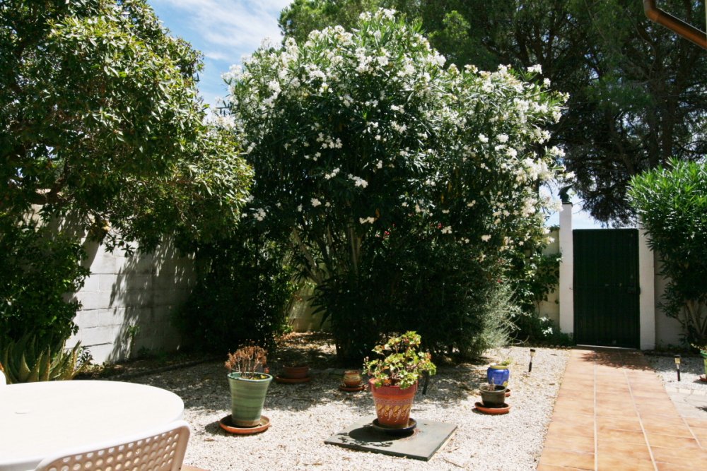 Andaluz Homes