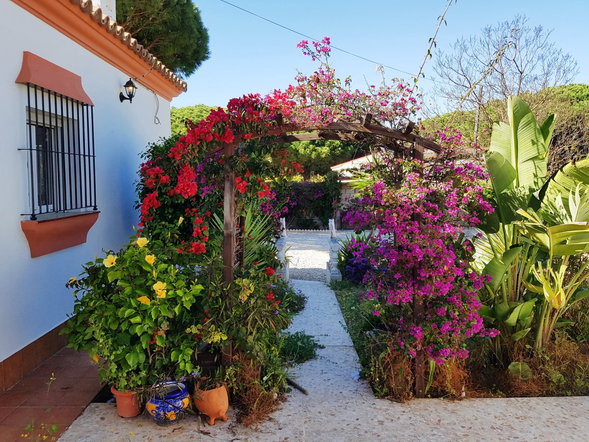 Andaluz Homes