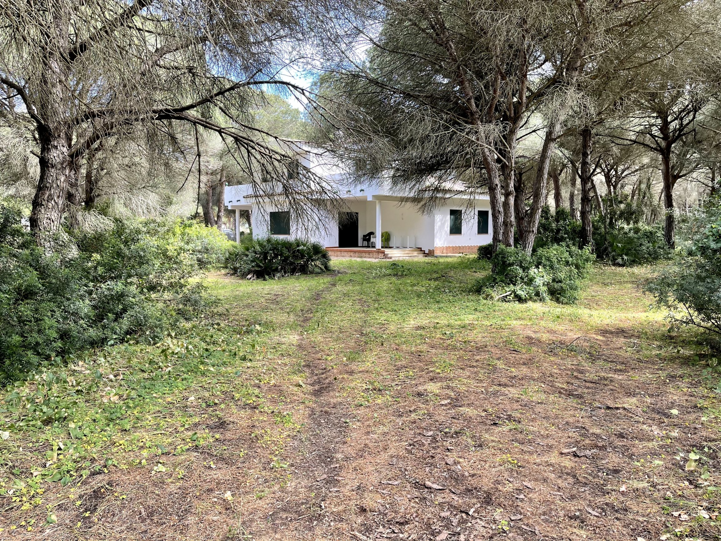 Andaluz Homes