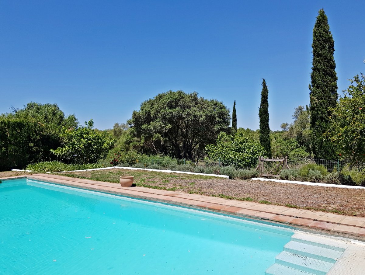 Andaluz Homes