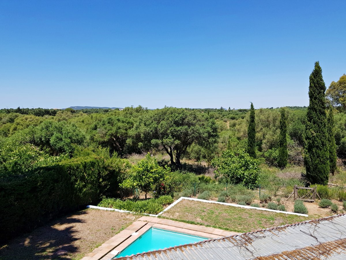 Andaluz Homes