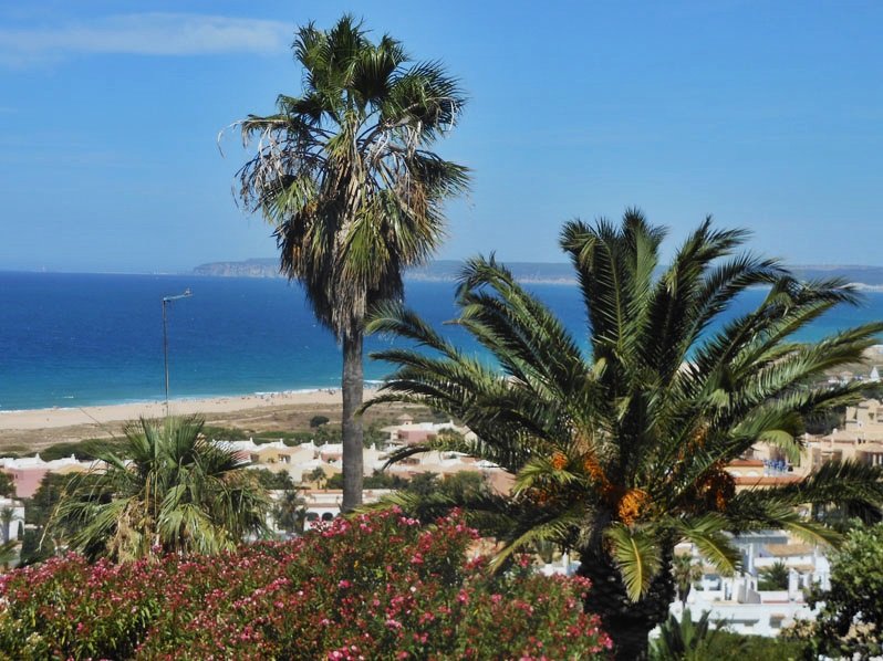 Andaluz Homes