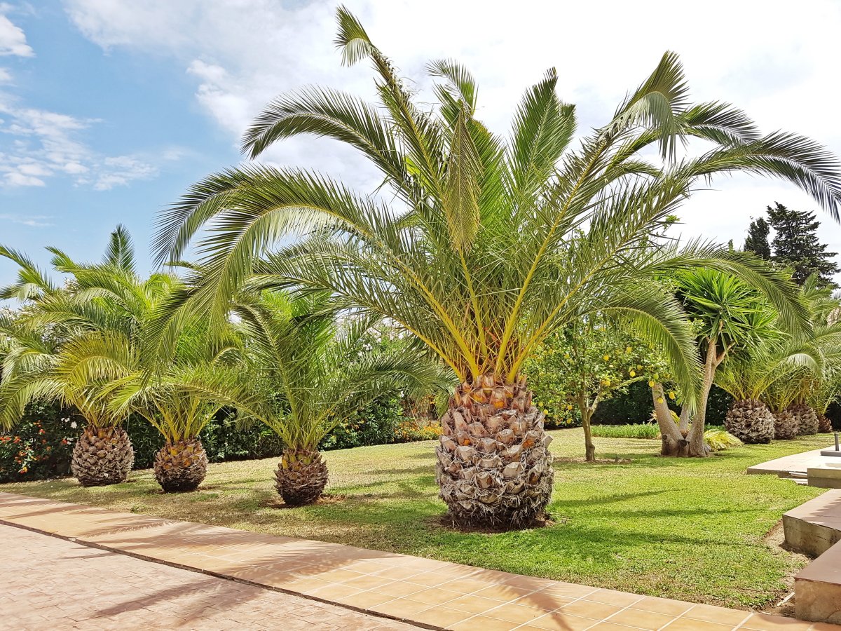 Andaluz Homes