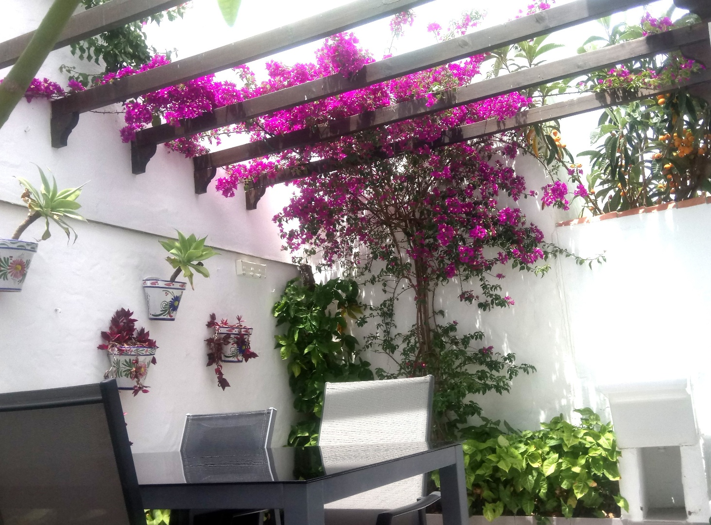 Andaluz Homes