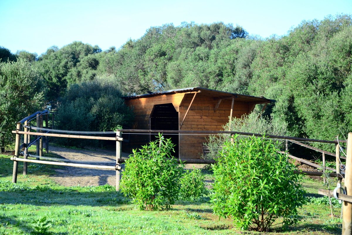 Andaluz Homes