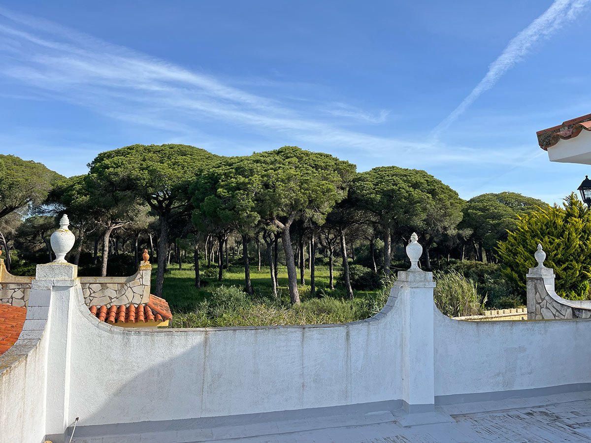 Andaluz Homes