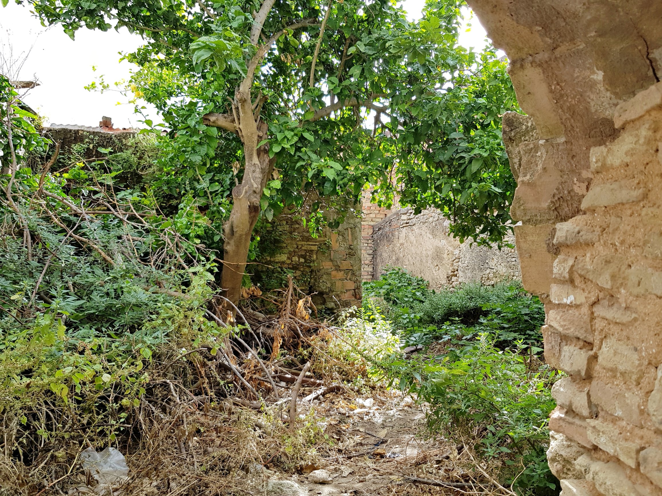 Andaluz Homes