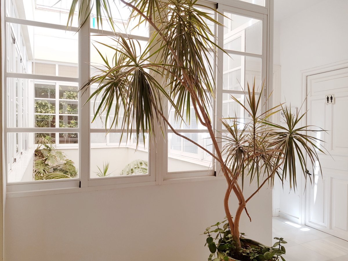 Andaluz Homes