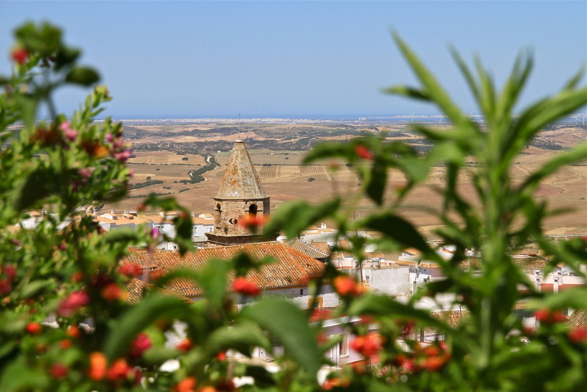 Andaluz Homes