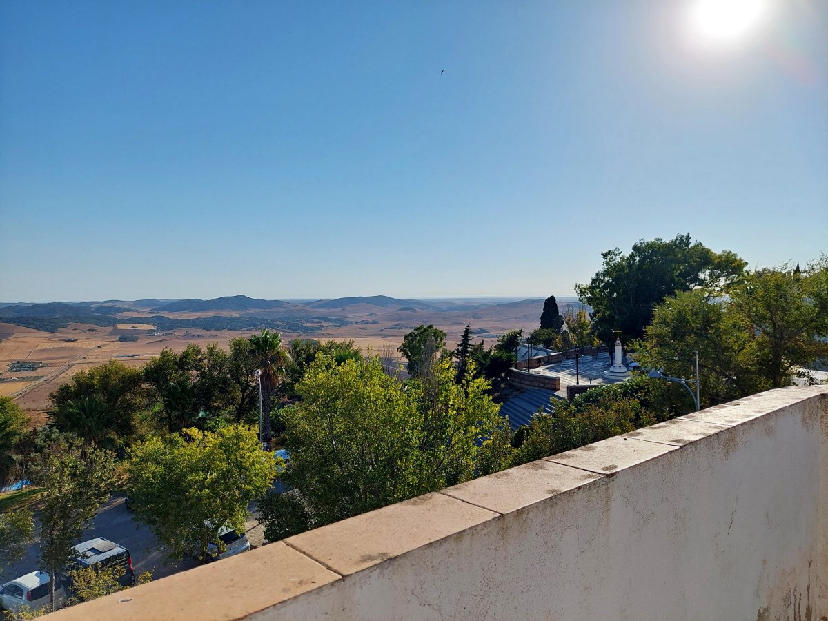 Andaluz Homes