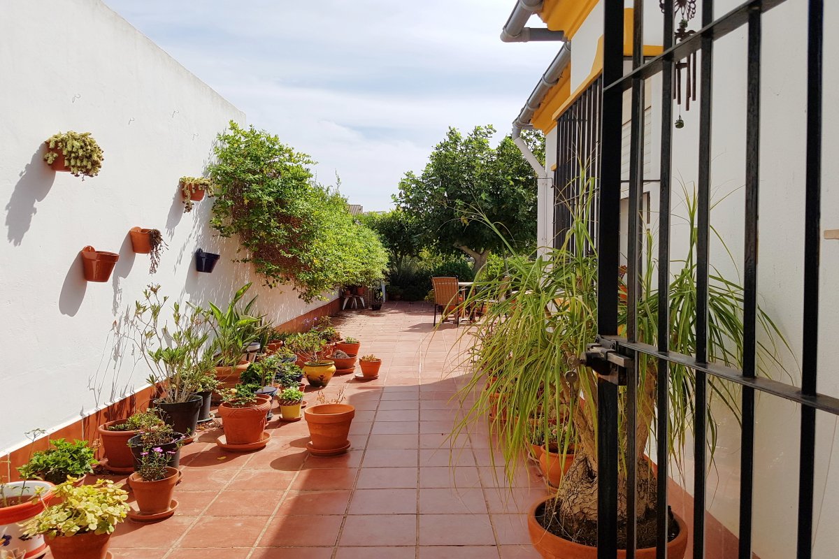 Andaluz Homes