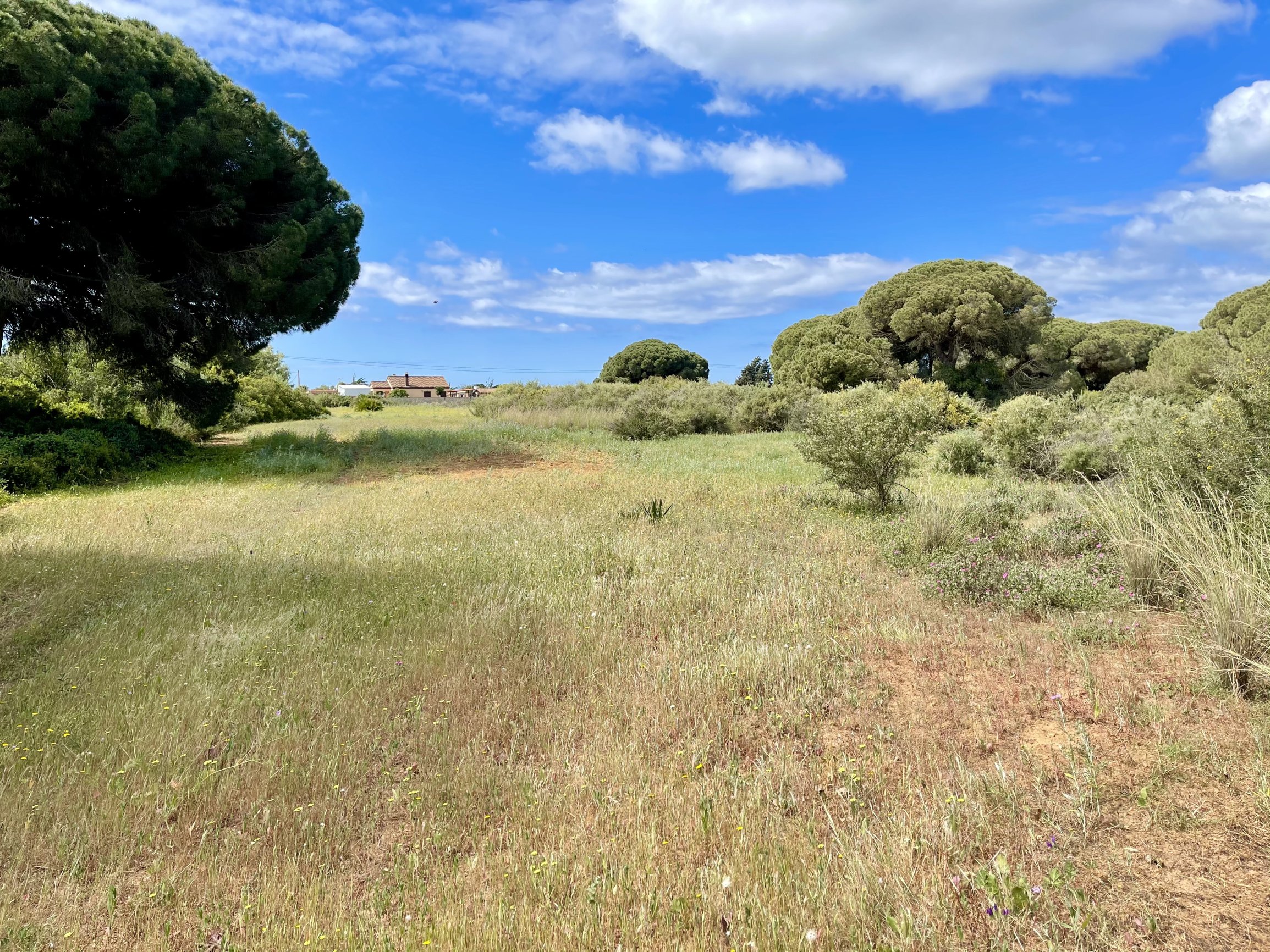 Andaluz Homes