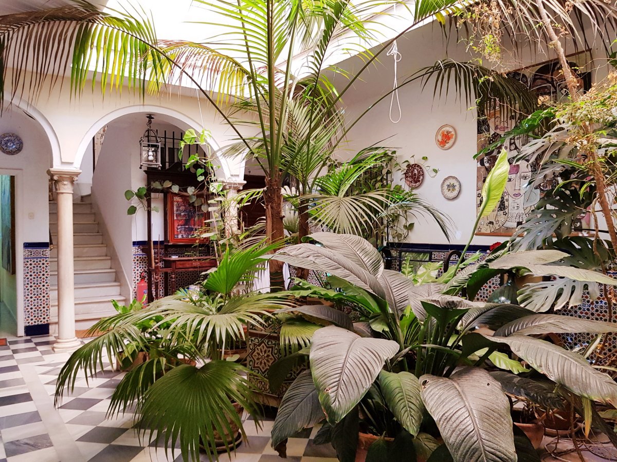 Andaluz Homes