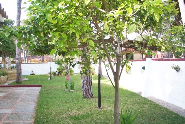 Andaluz Homes