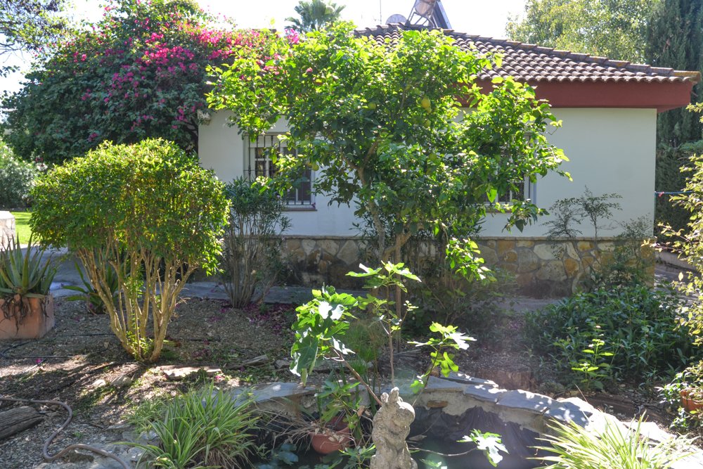 Andaluz Homes