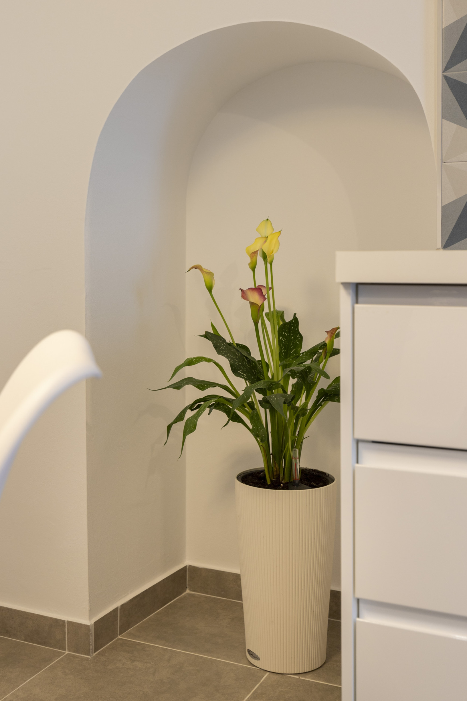Andaluz Homes