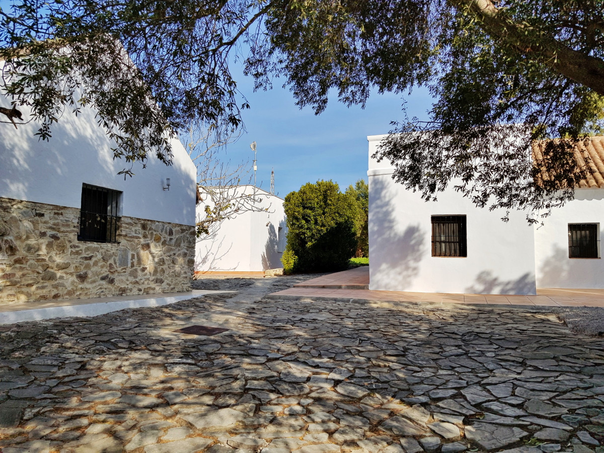 Andaluz Homes