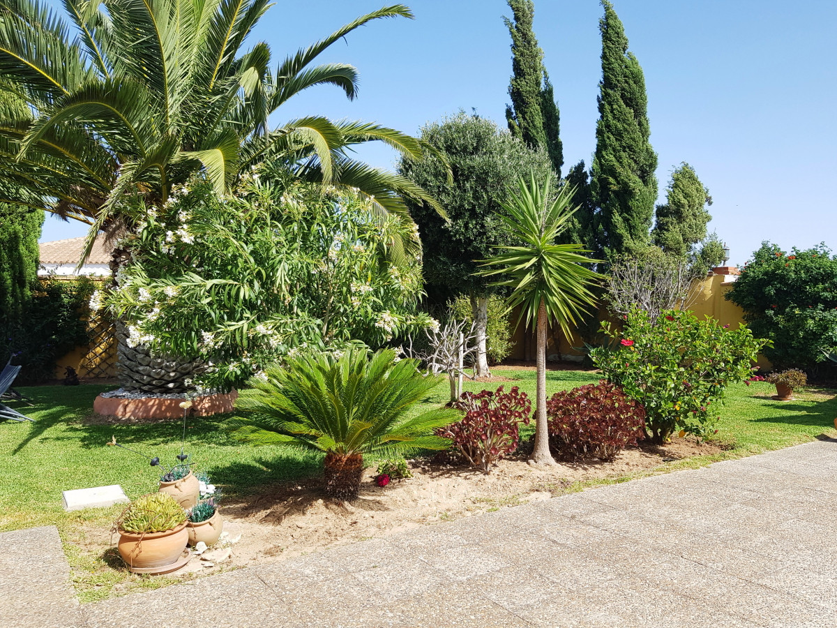 Andaluz Homes