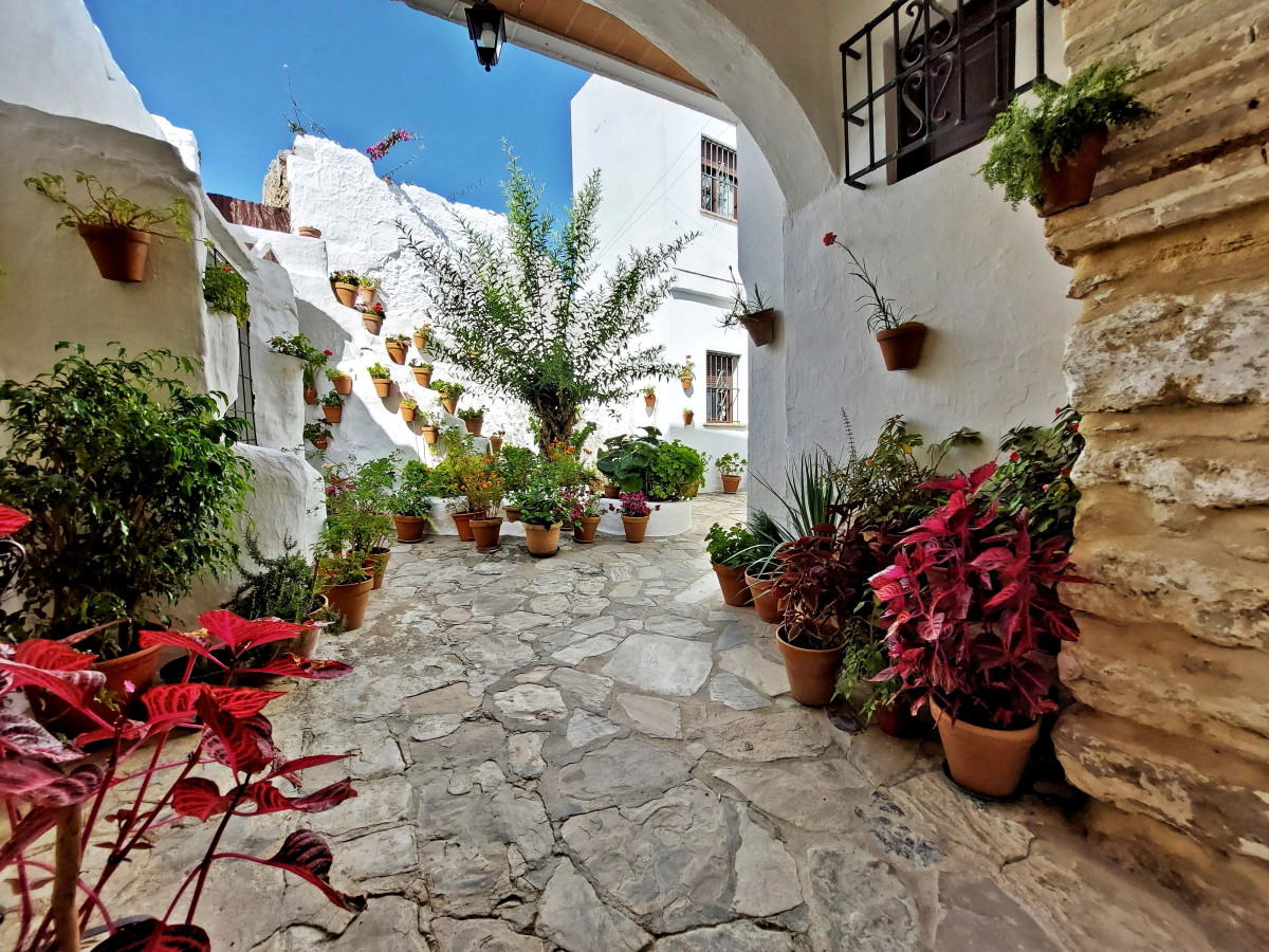 Andaluz Homes