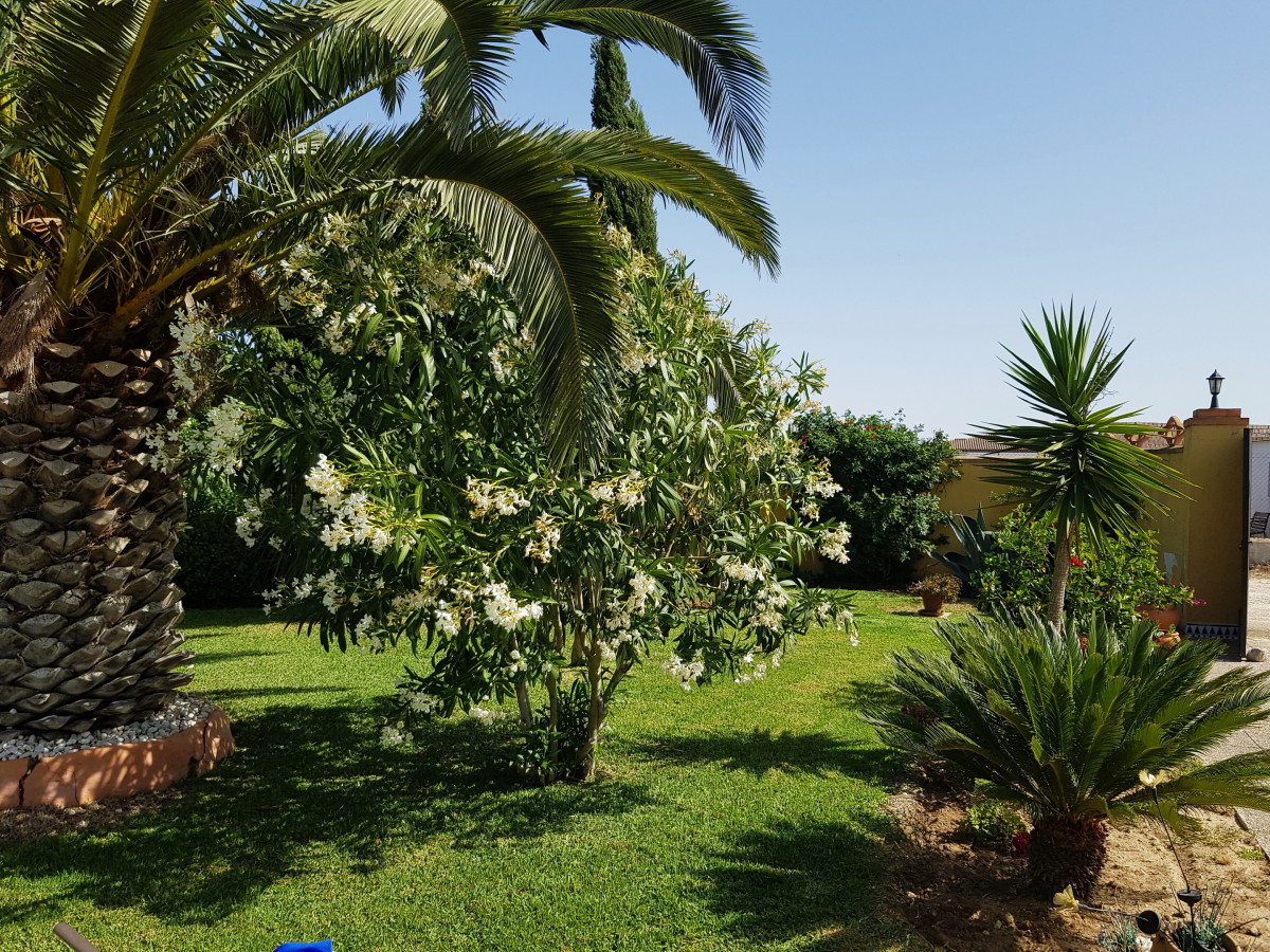Andaluz Homes