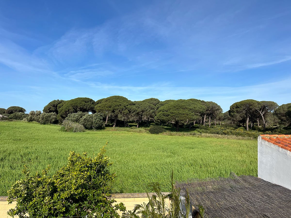 Andaluz Homes