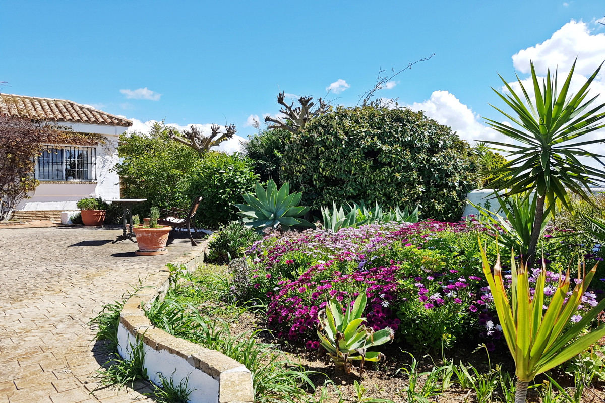 Andaluz Homes