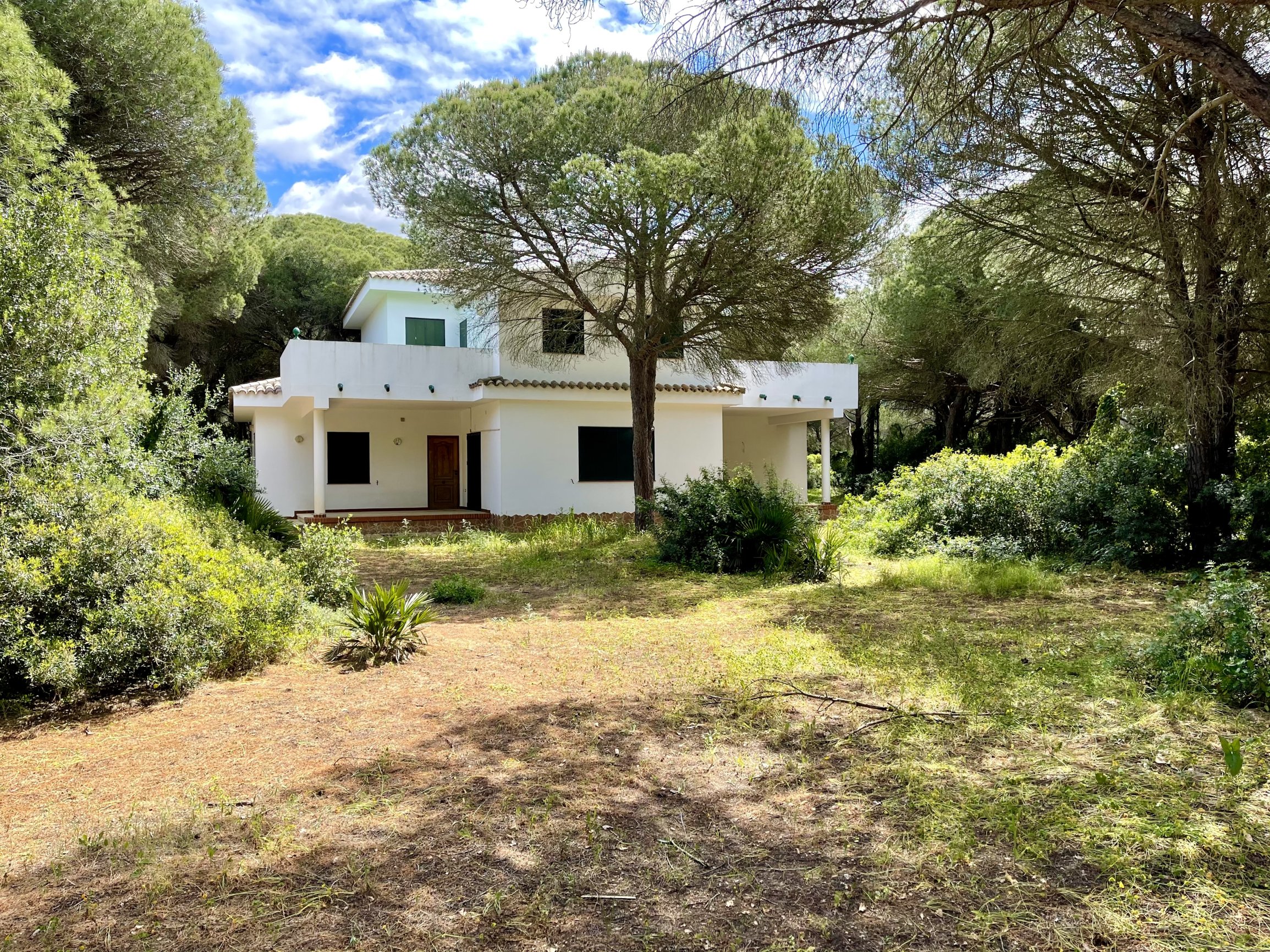 Andaluz Homes