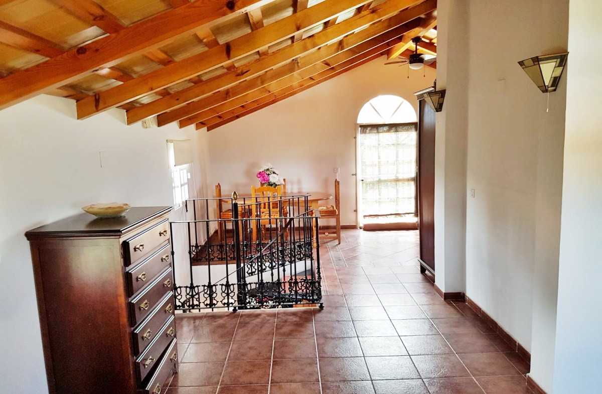Andaluz Homes