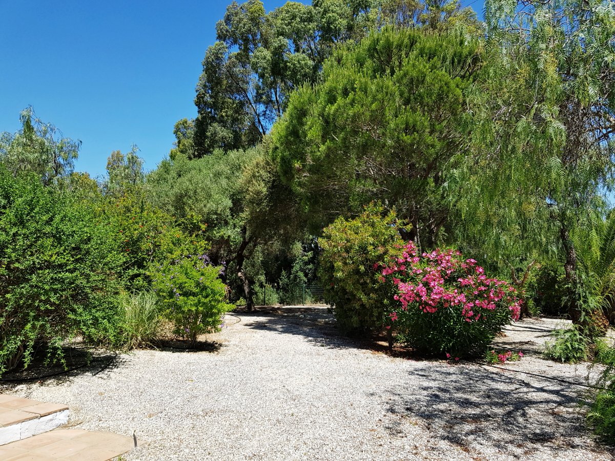 Andaluz Homes