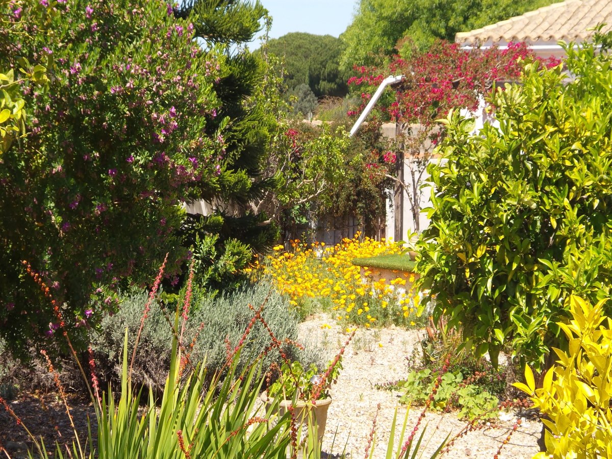 Andaluz Homes