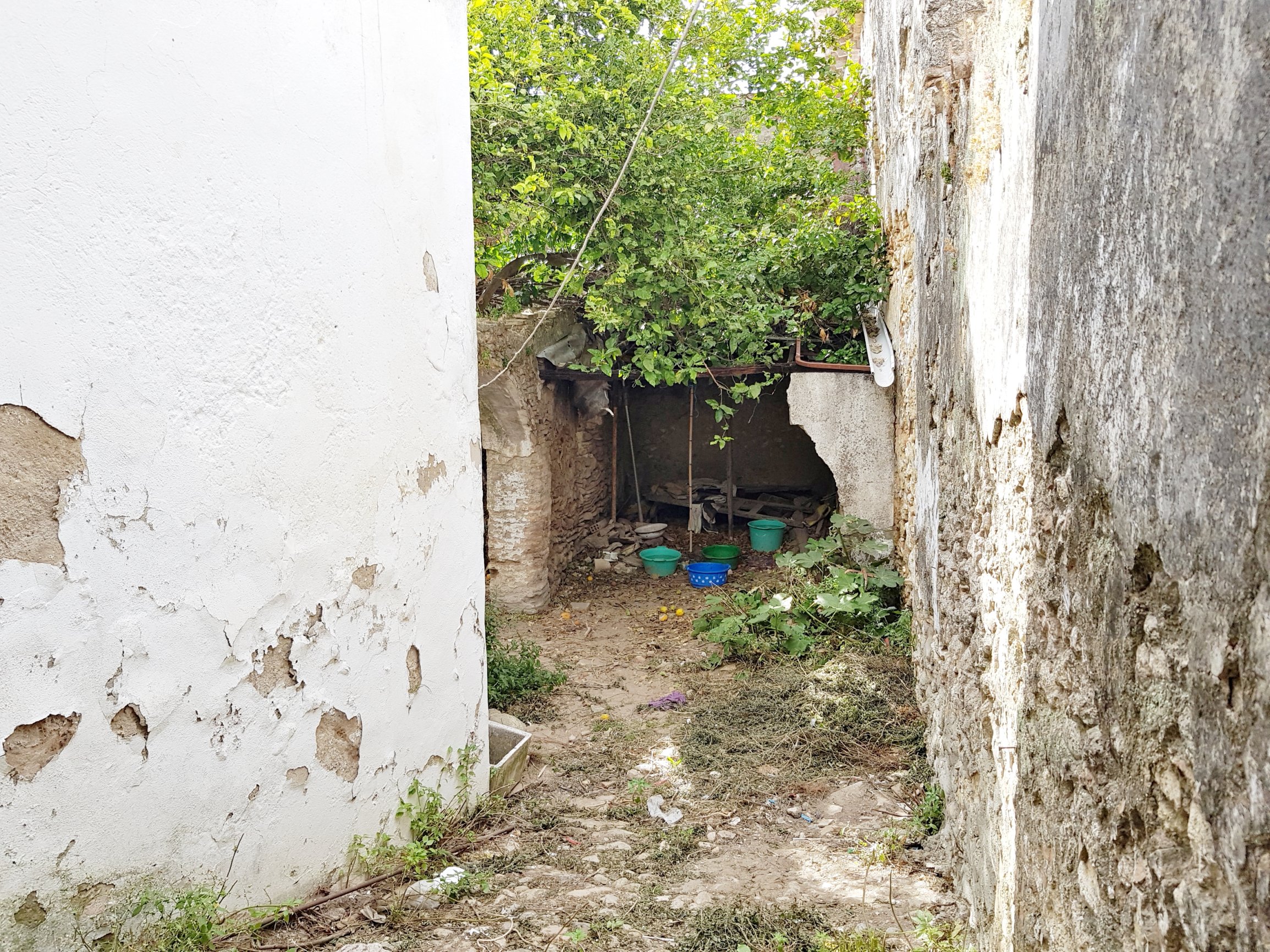 Andaluz Homes
