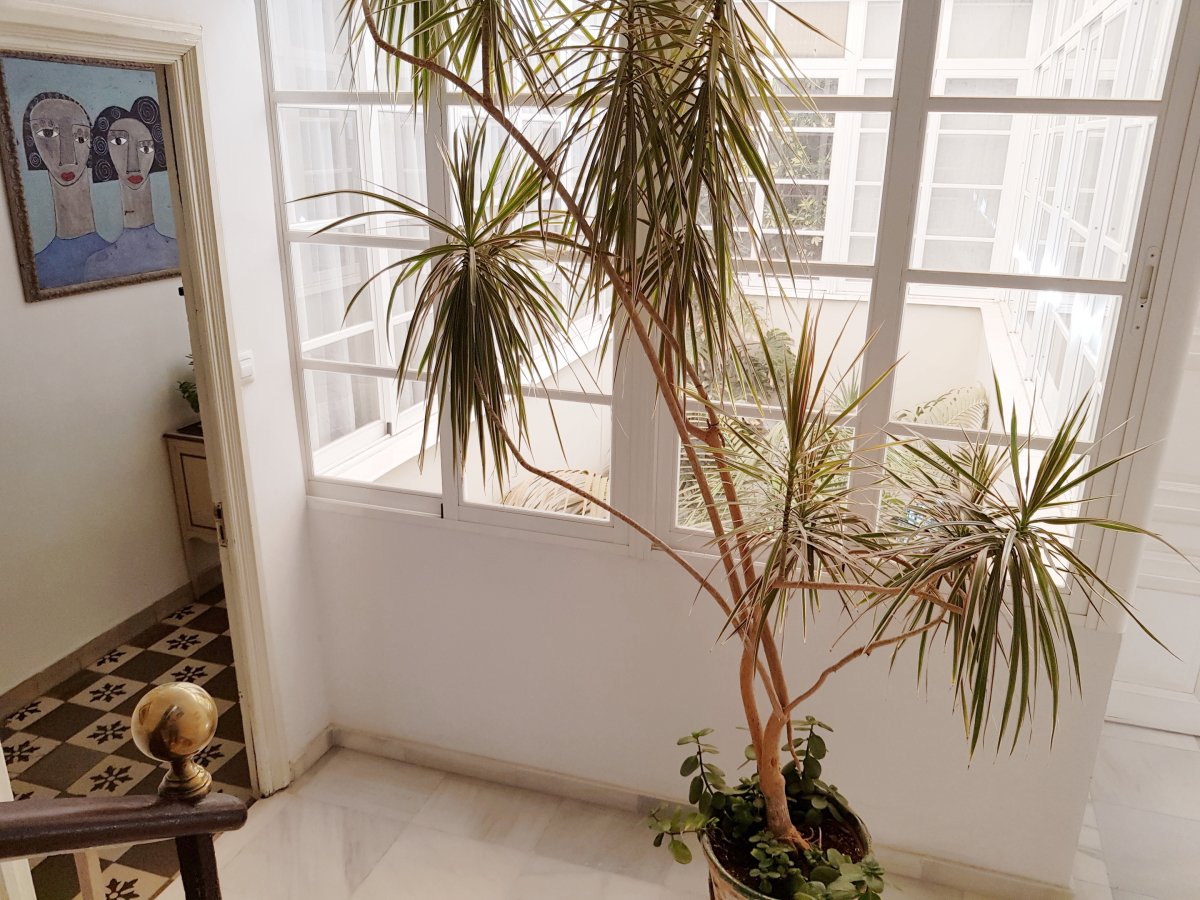 Andaluz Homes