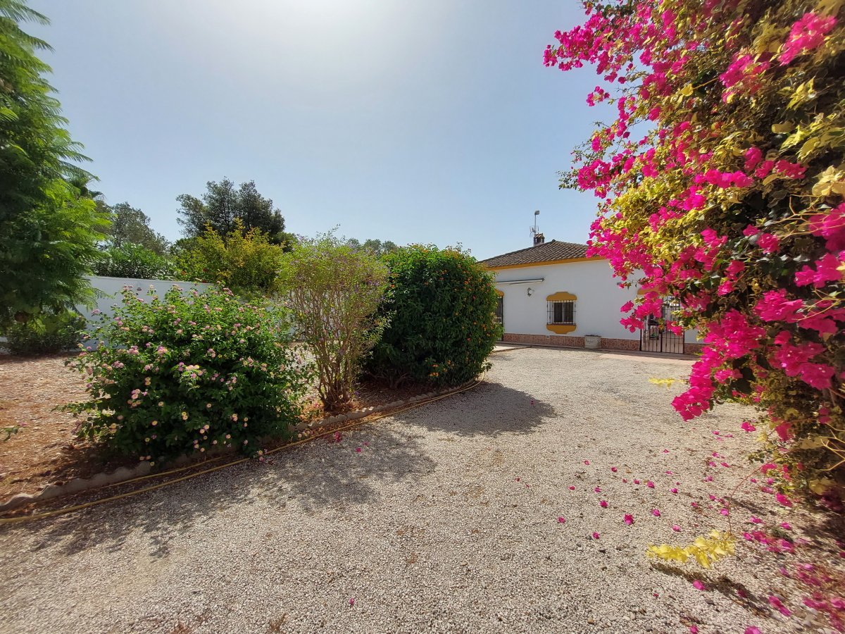 Andaluz Homes