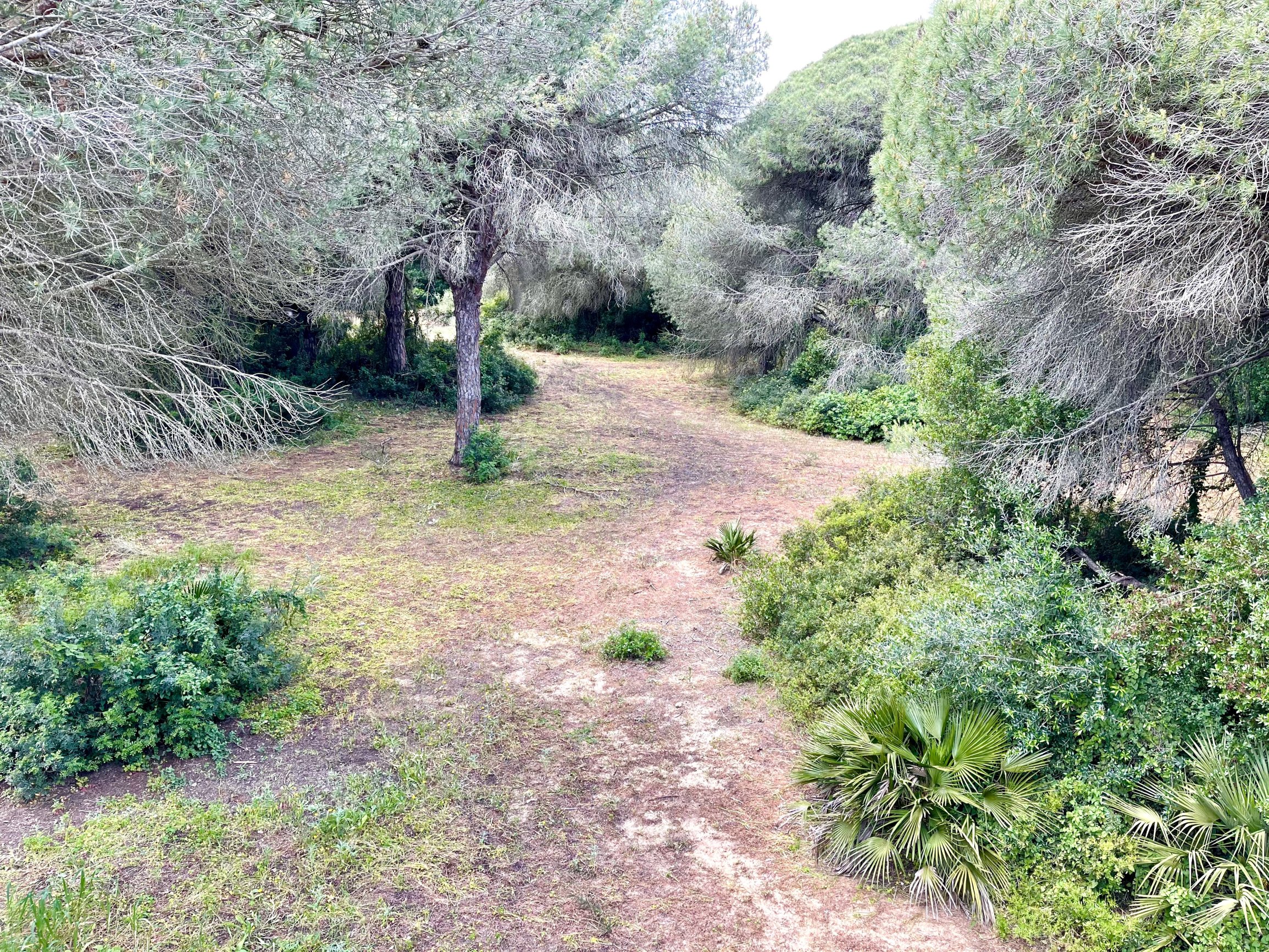 Andaluz Homes