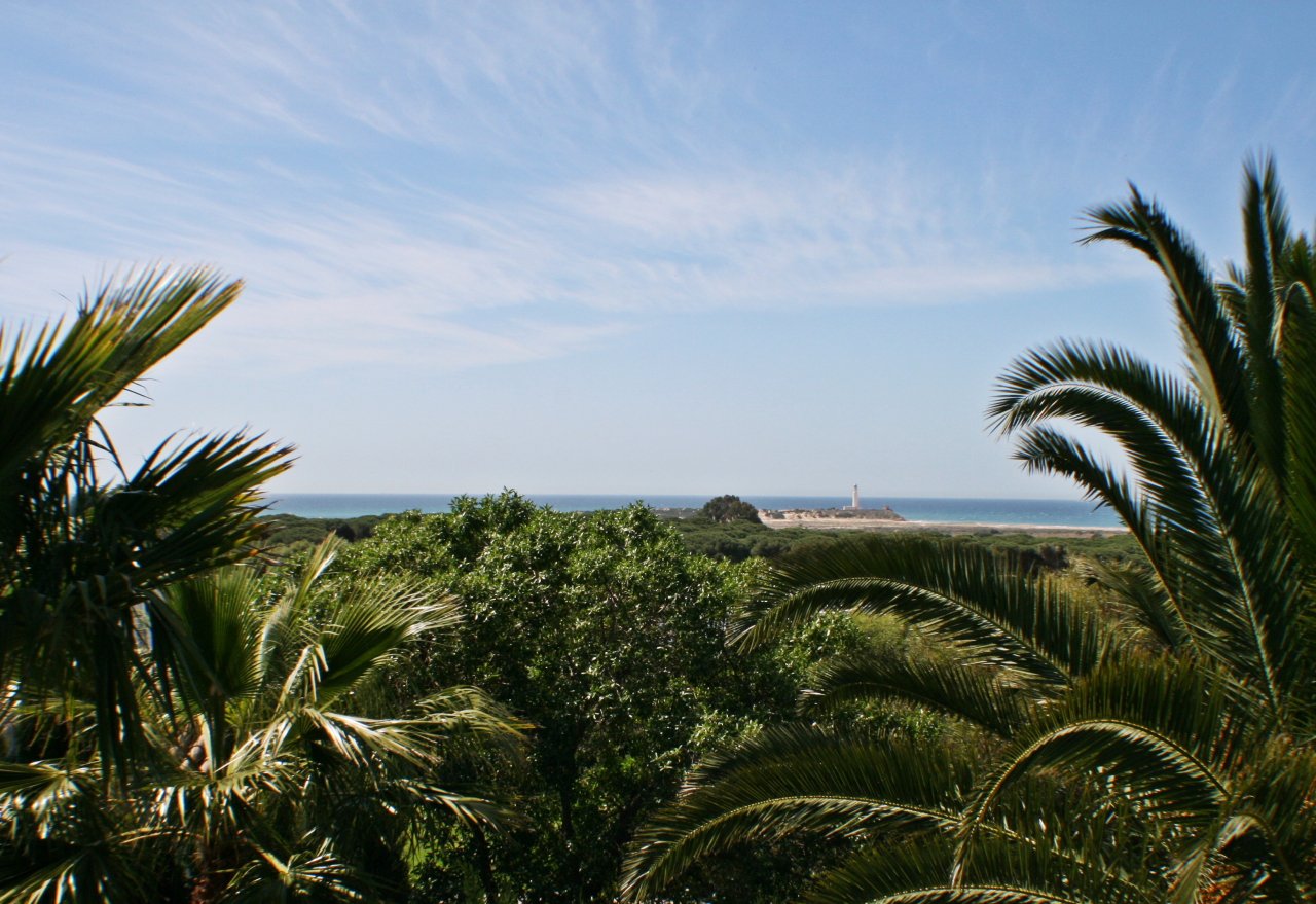 Andaluz Homes