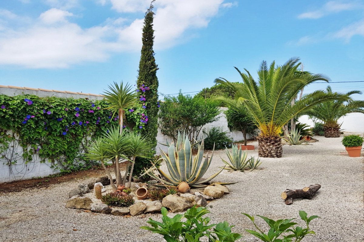 Andaluz Homes