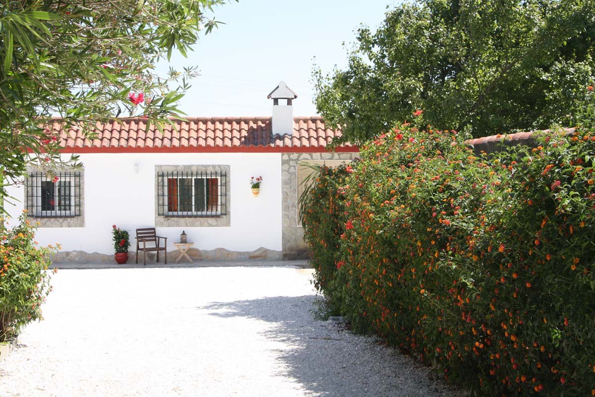 Andaluz Homes